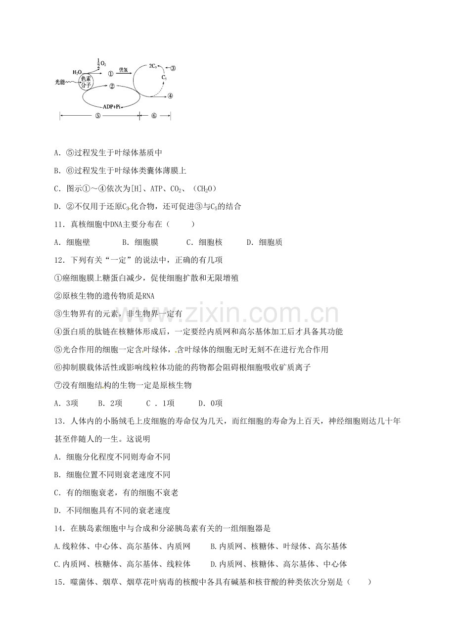 高一生物上学期期末考试试题承智班.doc_第3页