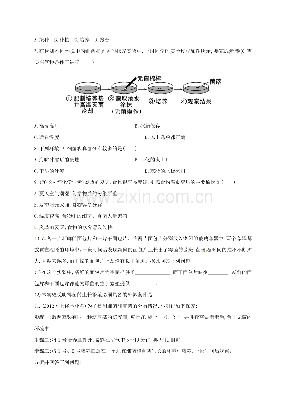 八年级生物上册----细菌和真菌的分布同步练习1-新版新人教版1.doc_第2页