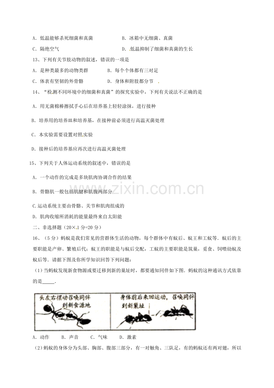 八年级生物上学期期中试题A卷-新人教版.doc_第3页