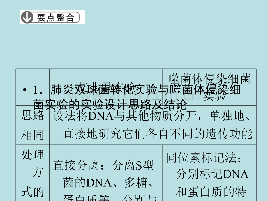 高三生物二轮复习第部分专题第讲.pptx_第3页