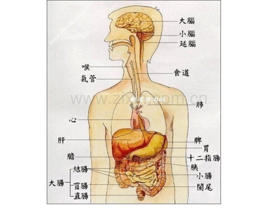 鄂教版四年级上册第三单元语文乐园三.pptx_第2页