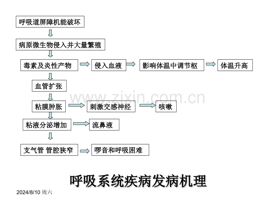 兽医内科学呼吸系统疾病.pptx_第1页