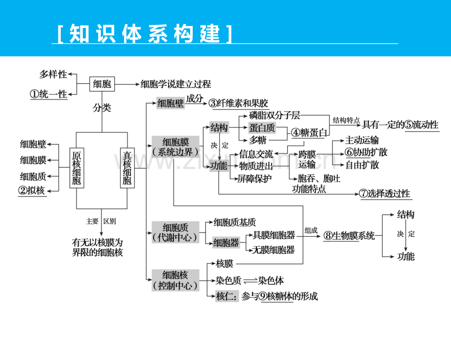 高三生物二轮配套专题12细胞基本结构与物质跨膜运输方式.pptx_第2页