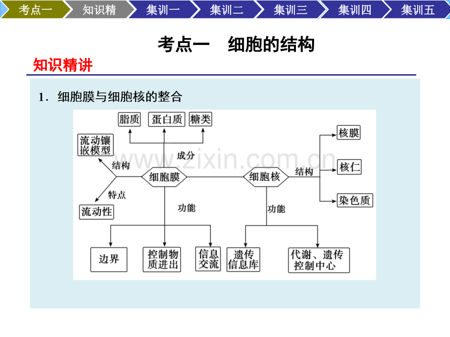 高三生物二轮配套专题12细胞基本结构与物质跨膜运输方式.pptx_第3页