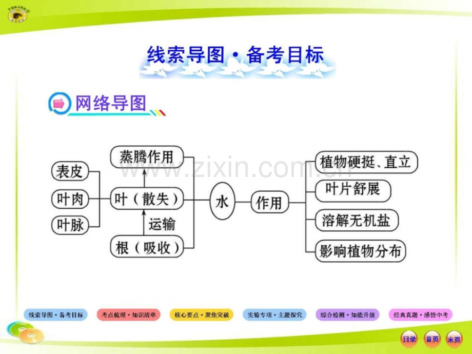 人教版初中生物中考复习绿色植物与.pptx_第1页