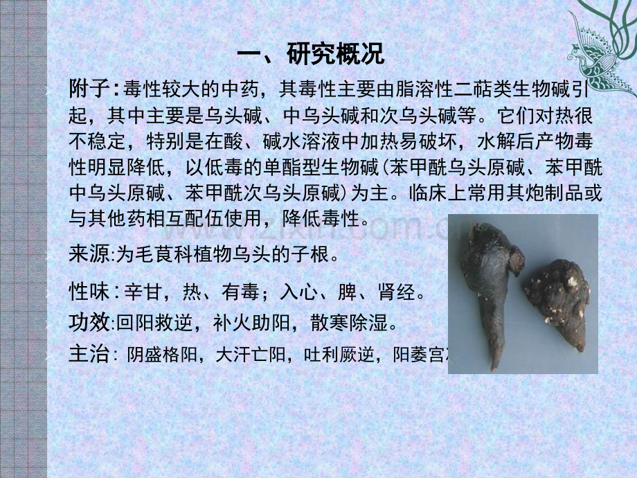 附子与白芍配伍减毒的有效成分研究.pptx_第1页