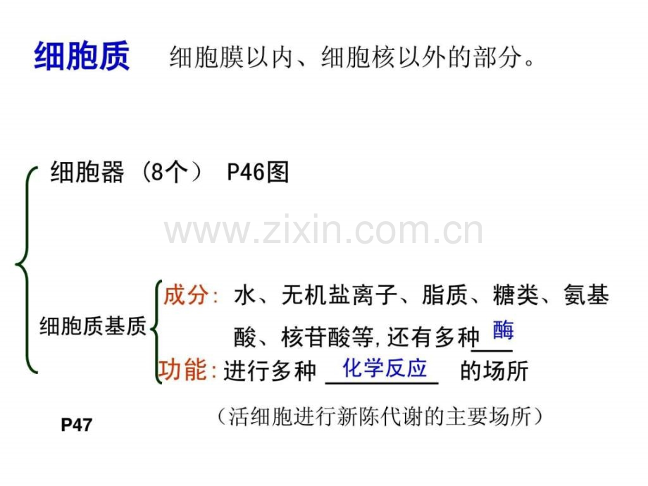 2015高三生物一轮复习细胞器9.pptx_第2页