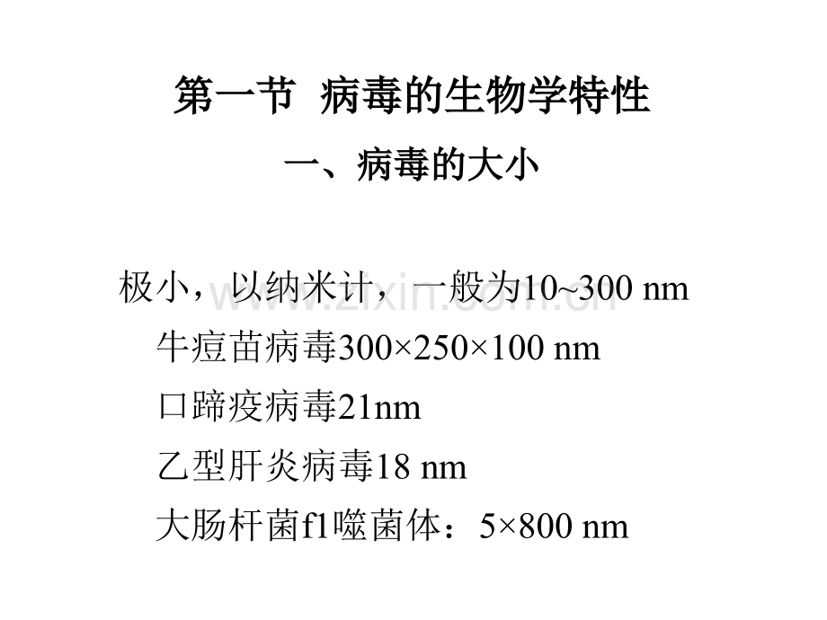 67病毒1中国药科大学微生物考研复试.pptx_第3页