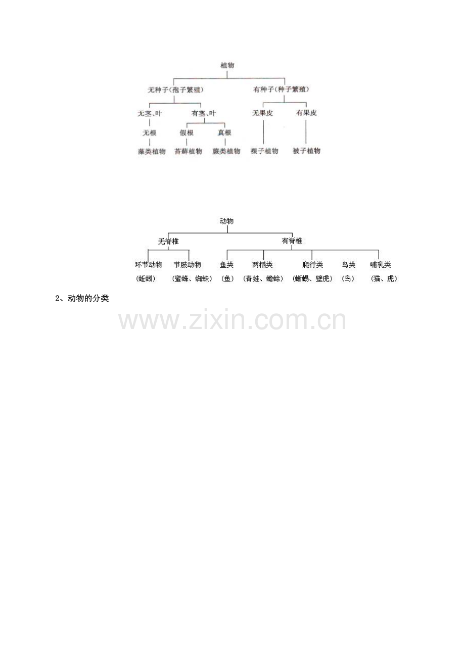 八年级生物上册-611-尝试对生物进行分类教案-新版新人教版.doc_第3页