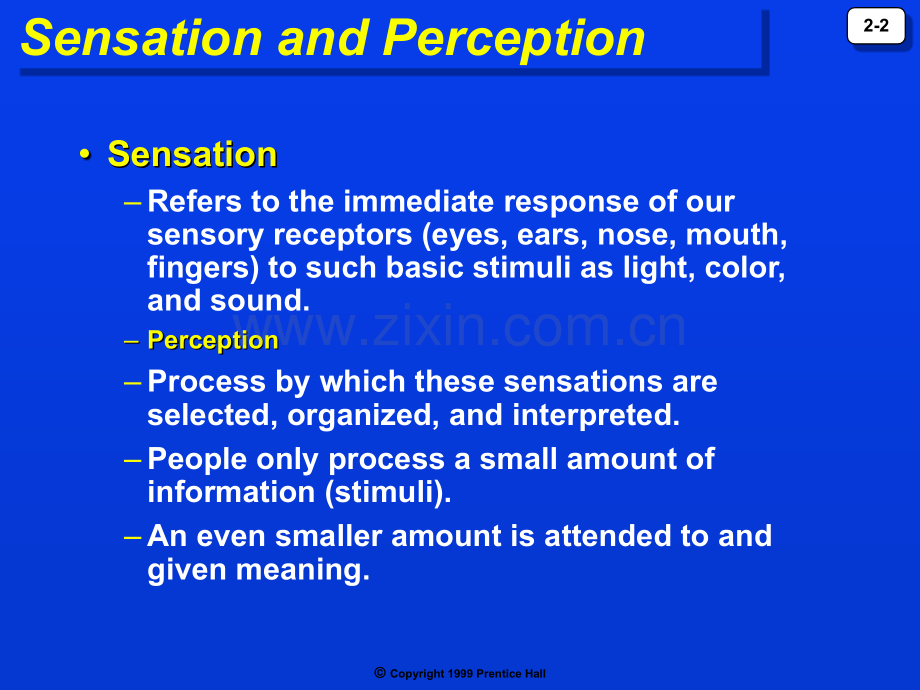 Perception.pptx_第2页