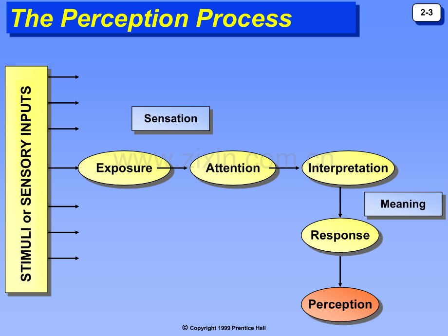 Perception.pptx_第3页