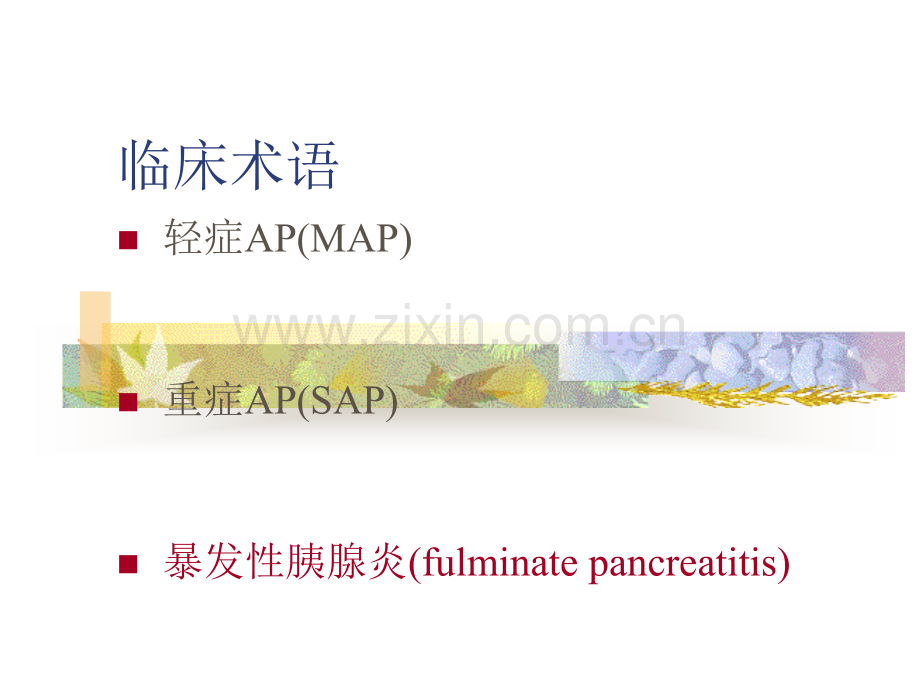 重症胰腺炎和.pptx_第3页