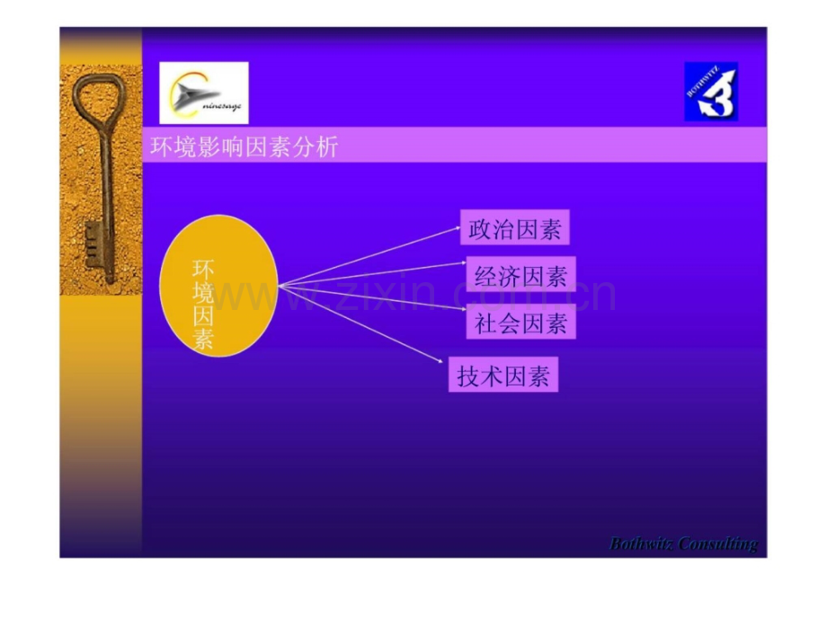 医药行业分析.pptx_第2页