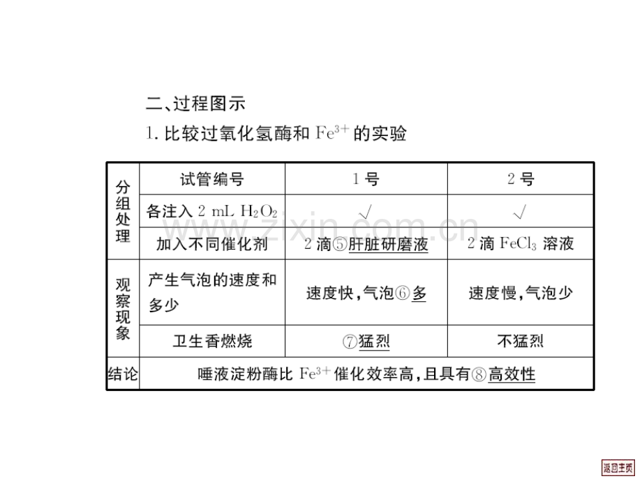 高三生物有关酶实验.pptx_第3页