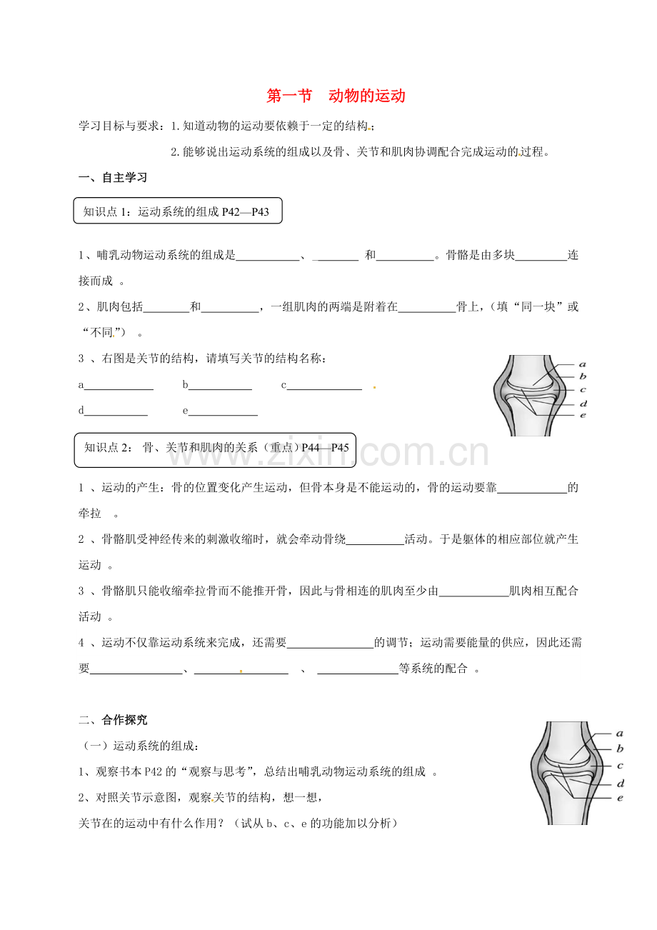 八年级生物上册-5-2-1-动物的运动导学案(无答案)(新版)新人教版.doc_第1页