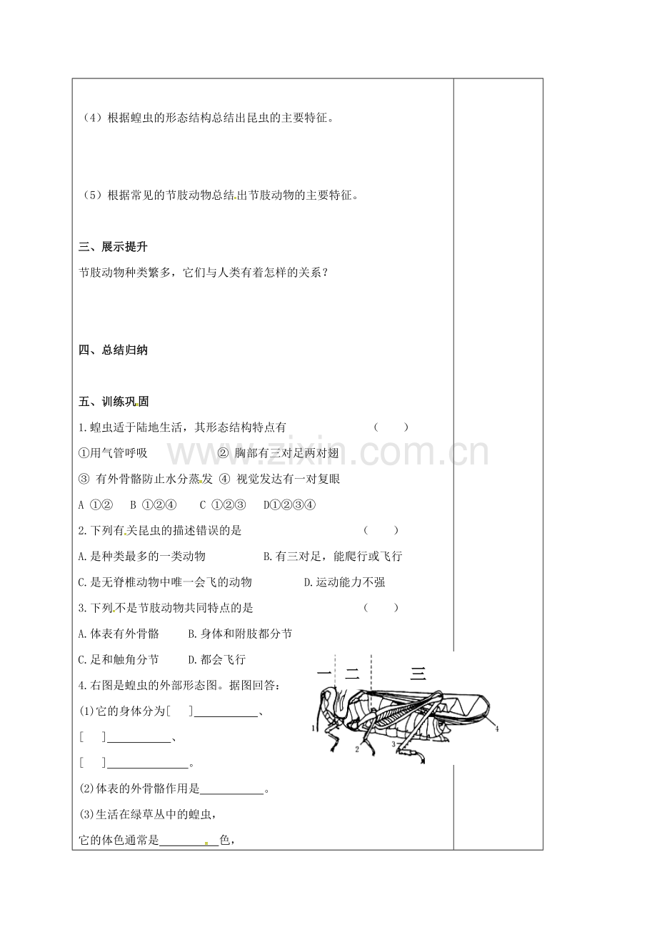 八年级生物上册-513-节肢动物教案-新版新人教版.doc_第2页