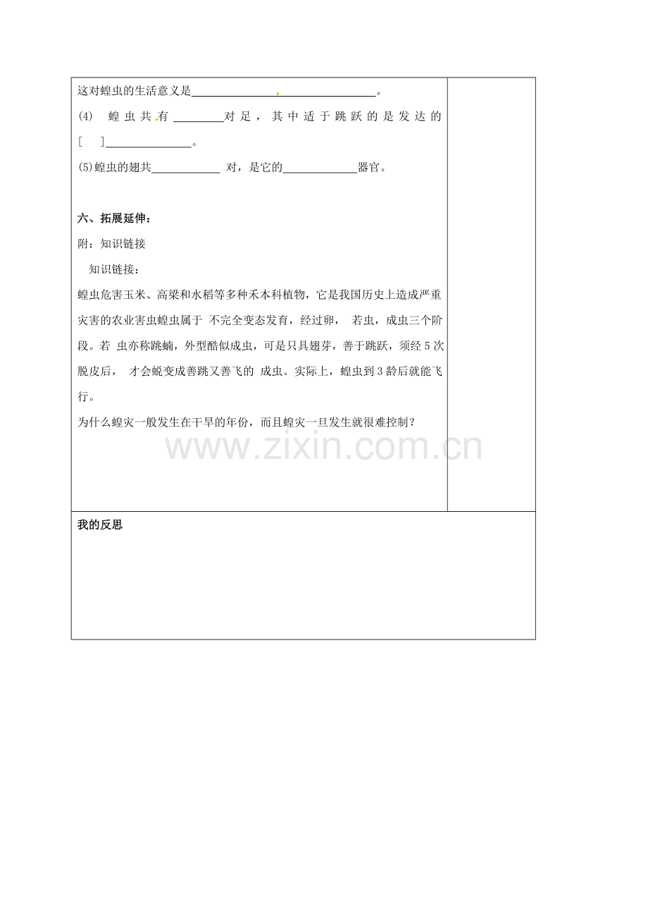 八年级生物上册-513-节肢动物教案-新版新人教版.doc_第3页