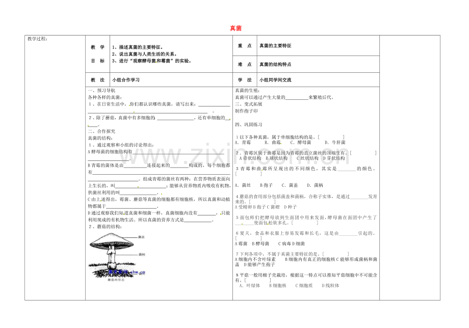 八年级生物上册-543-真菌导学案无答案新版新人教版.doc_第1页