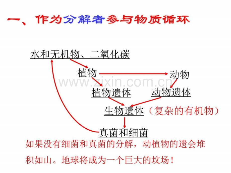 人教版八级生物上册细菌和真菌在自然界中的作用.pptx_第3页