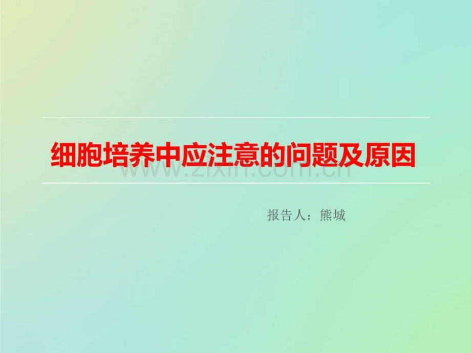 霉菌基础医学医药卫生专业资料.pptx_第1页