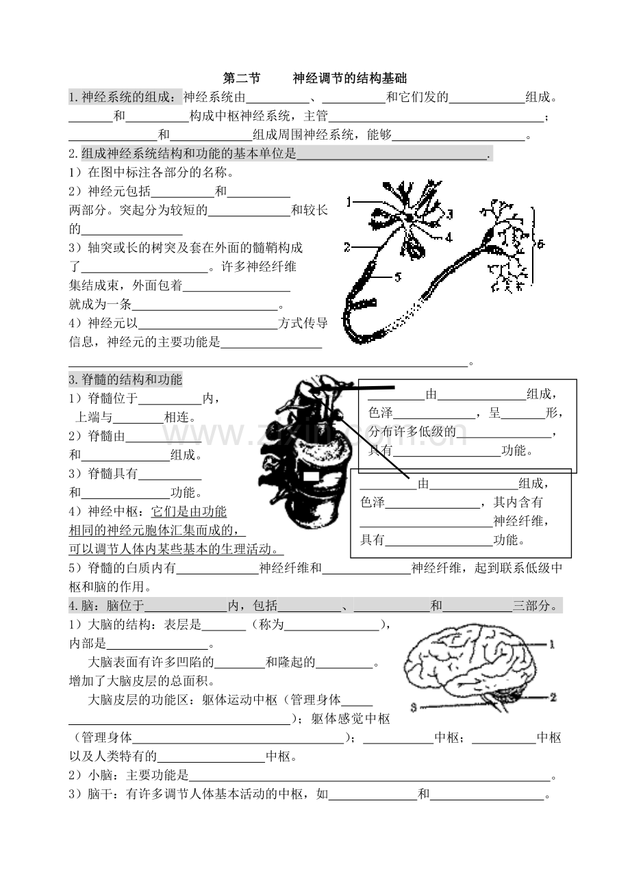 5人体生命活动的调节复习学案.doc_第2页