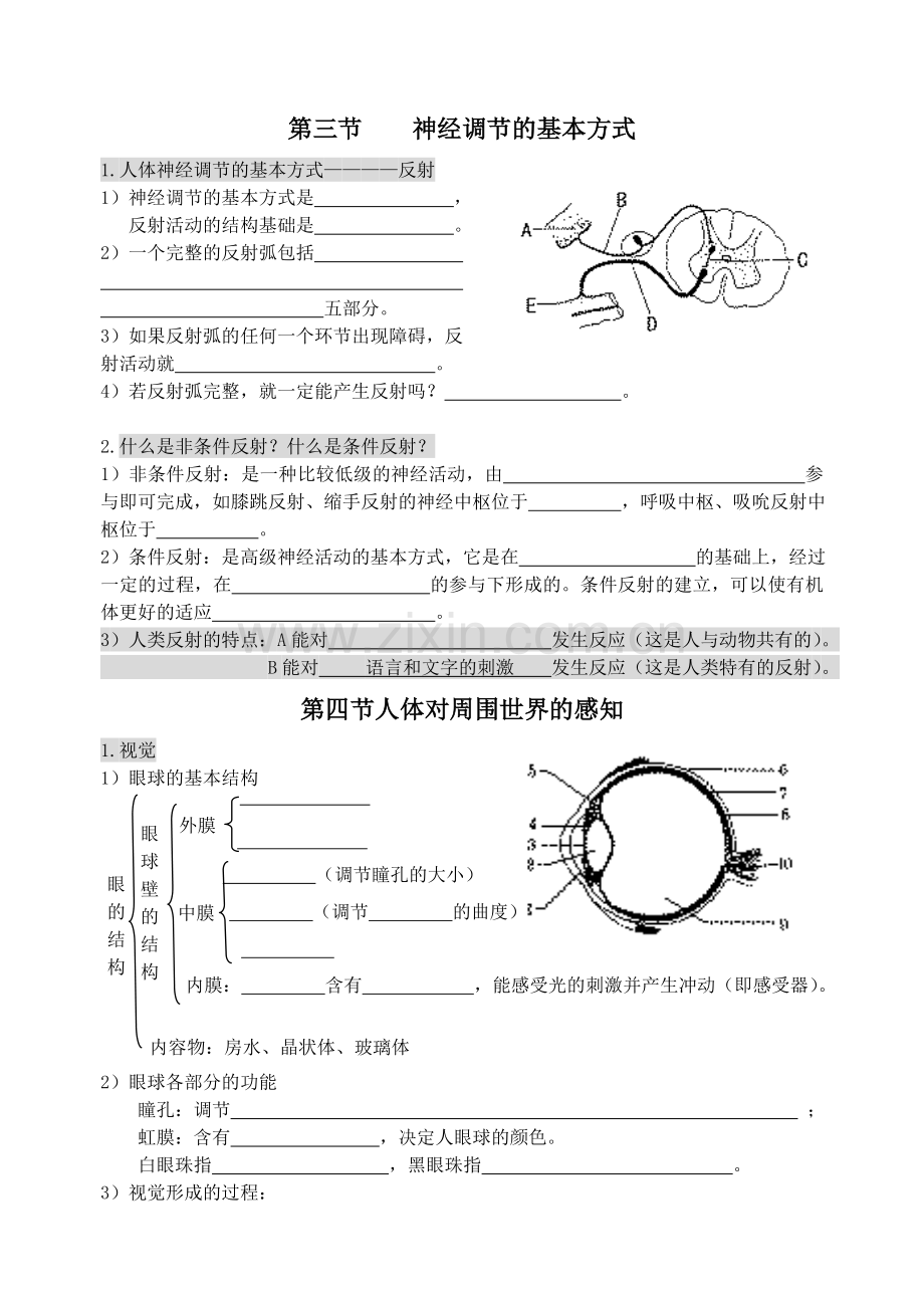 5人体生命活动的调节复习学案.doc_第3页