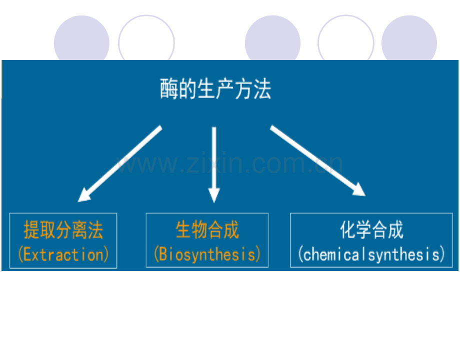 酶的发酵生产.pptx_第3页