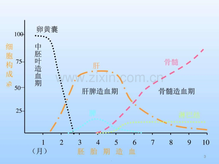 儿科学小儿贫血图文.pptx_第3页