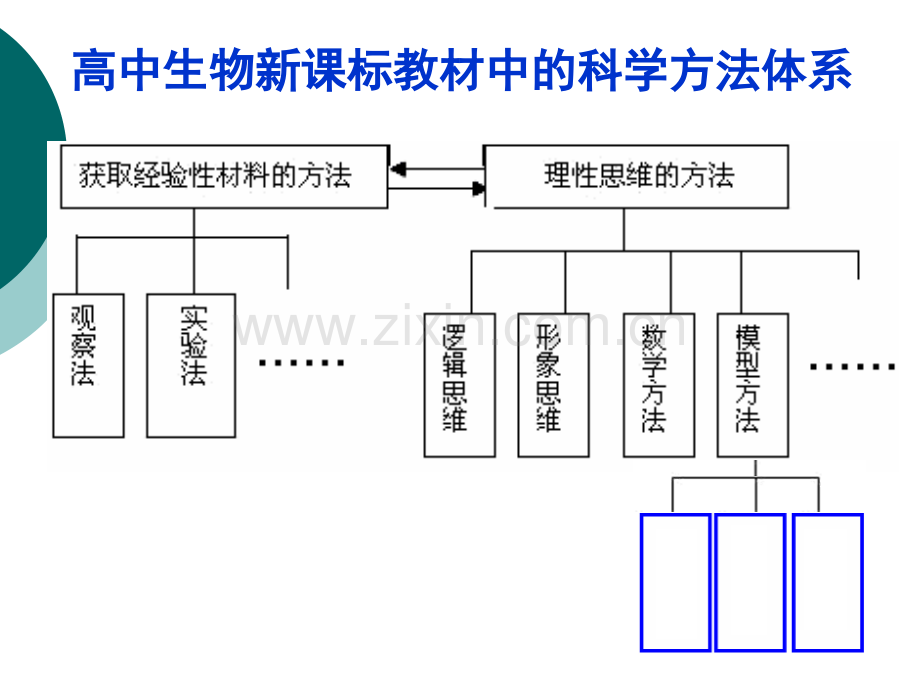 高三生物模型建构专题复习.pptx_第3页