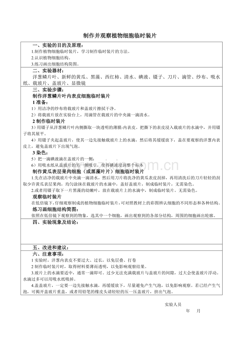 初中生物分组实验报告单.doc_第3页