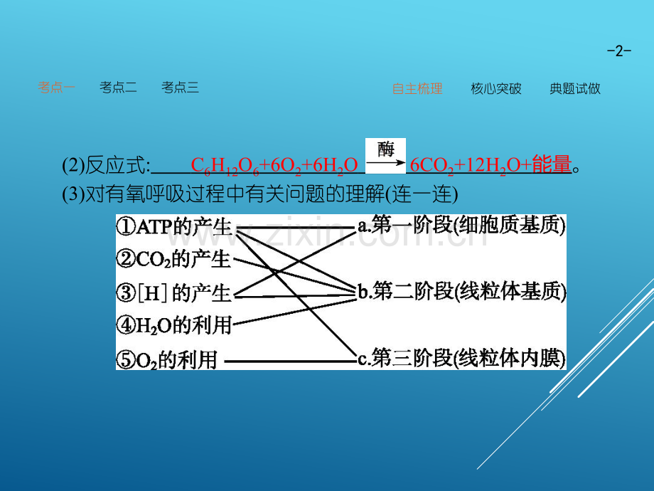 高三生物第一轮复习细胞呼吸.pptx_第2页