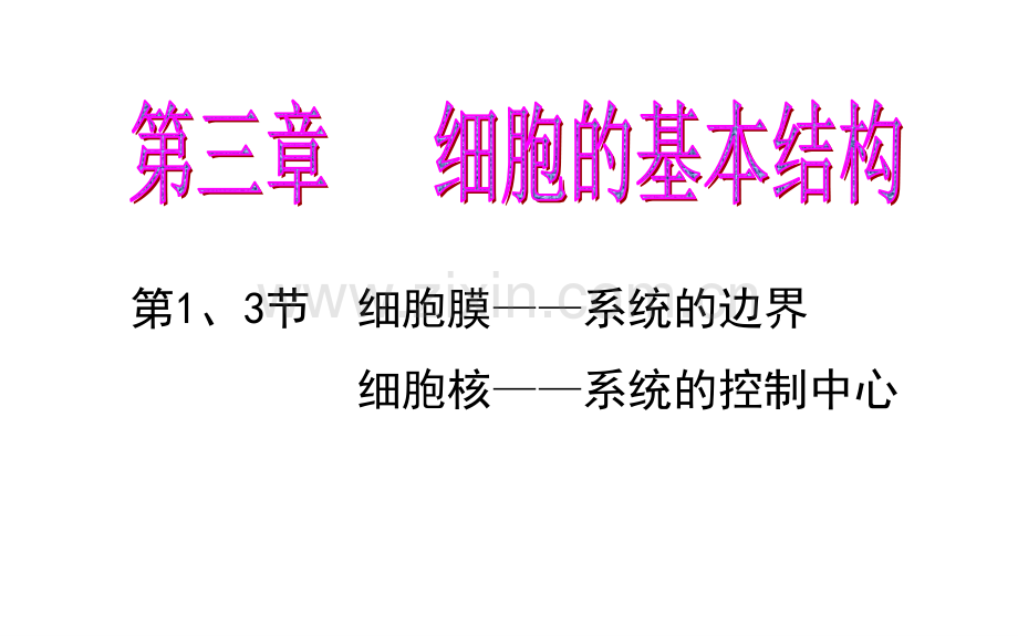 高中生物--细胞膜-系统的边界-细胞核-系统的控制中心-新人教版必修.pptx_第1页