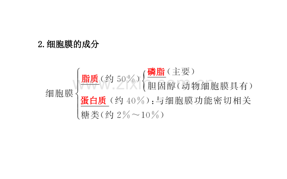 高中生物--细胞膜-系统的边界-细胞核-系统的控制中心-新人教版必修.pptx_第3页