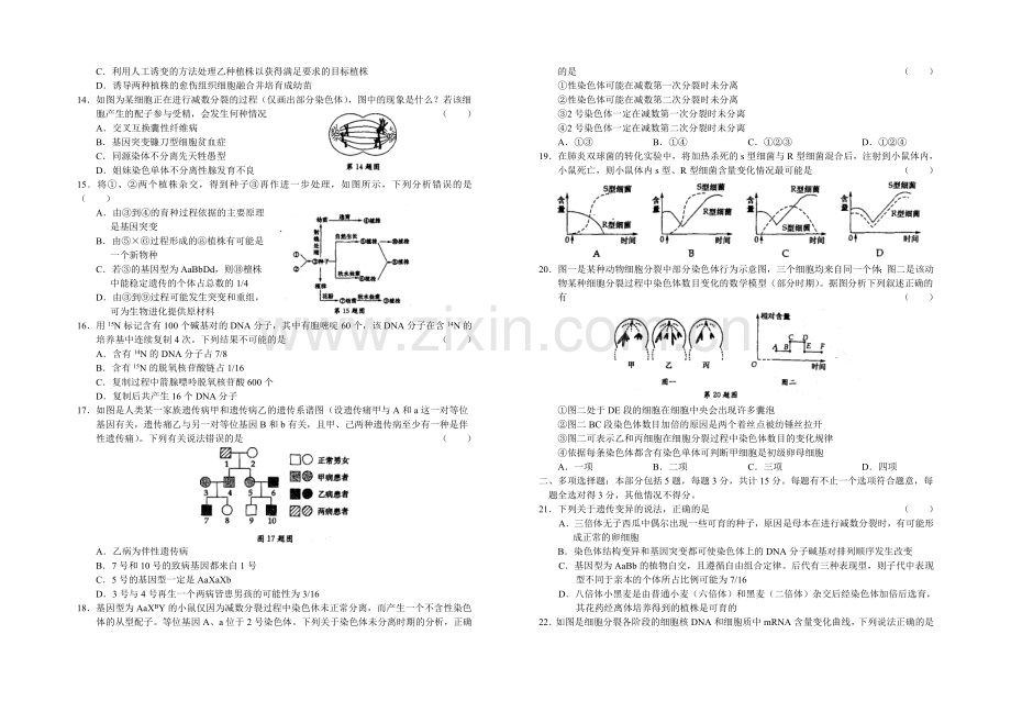 必修2遗传与进化测试卷.doc_第2页