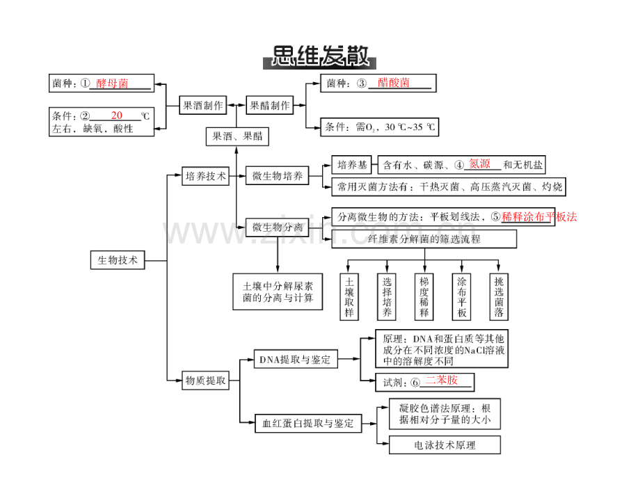 高三生物复习专题八生物技术实践.pptx_第3页