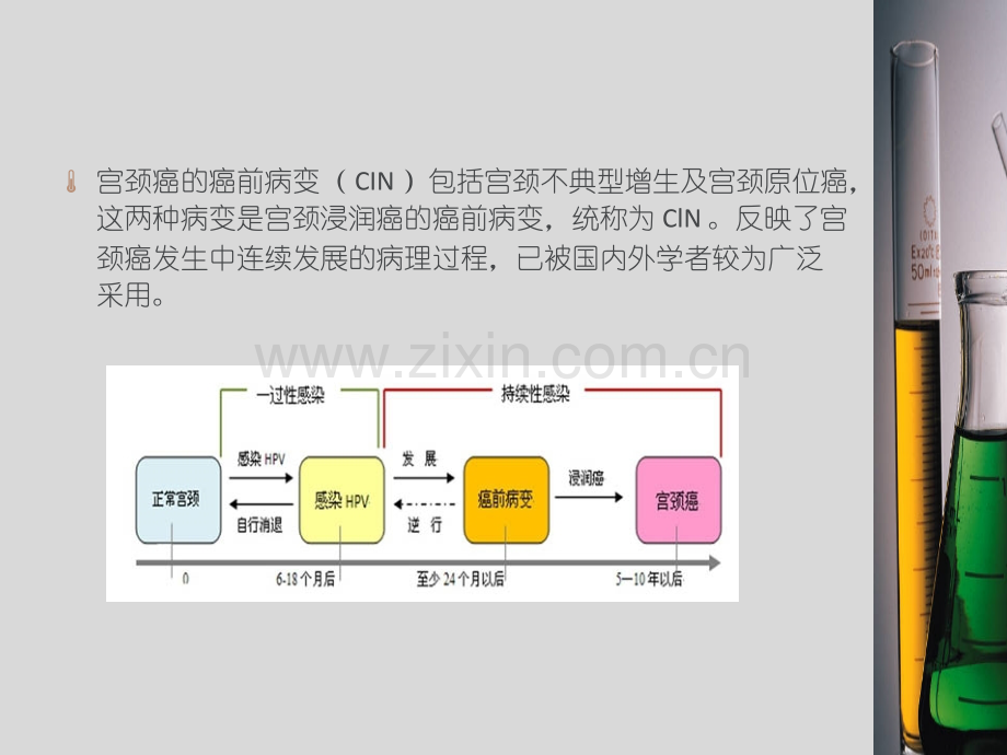 宫颈cin1级病理.pptx_第3页