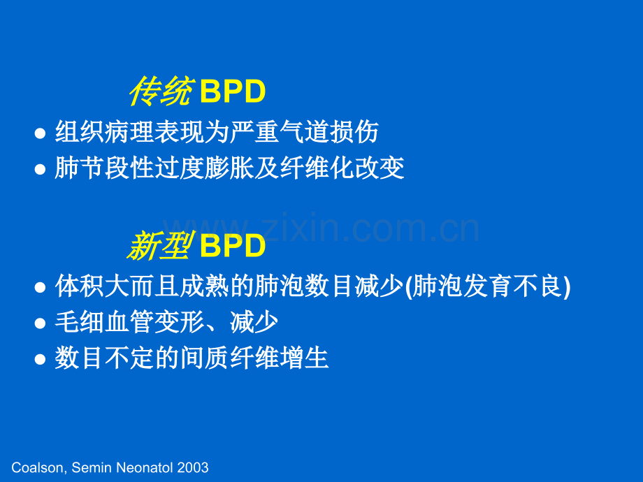 bpd发病机理新观点.pptx_第3页