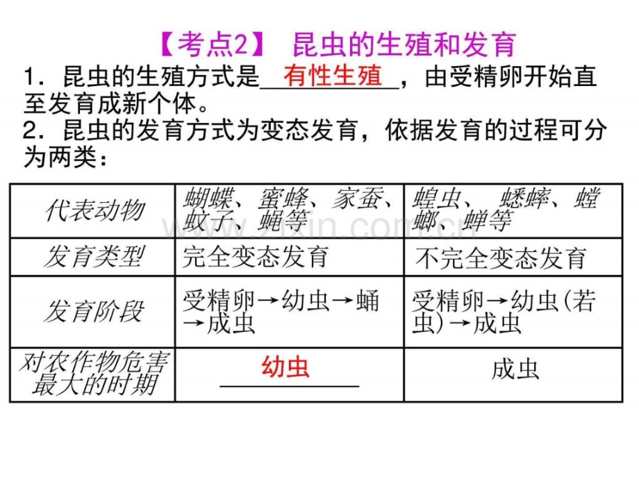 人教版初中生物会考复习八级生物下册第.pptx_第3页