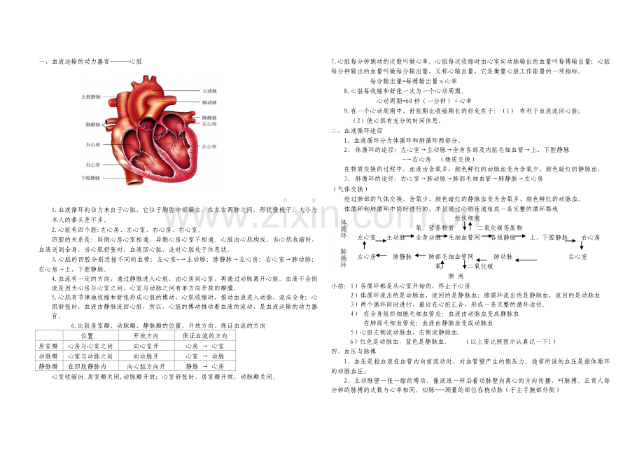 北师大版七年级生物下册知识点.doc_第3页