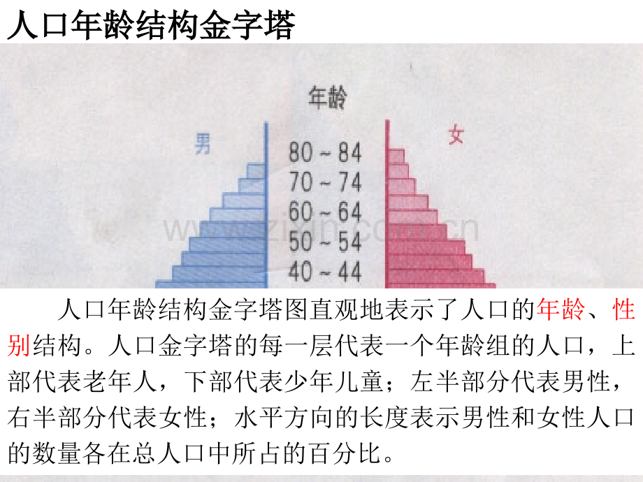 人口年龄结构金字塔2015.pptx_第2页