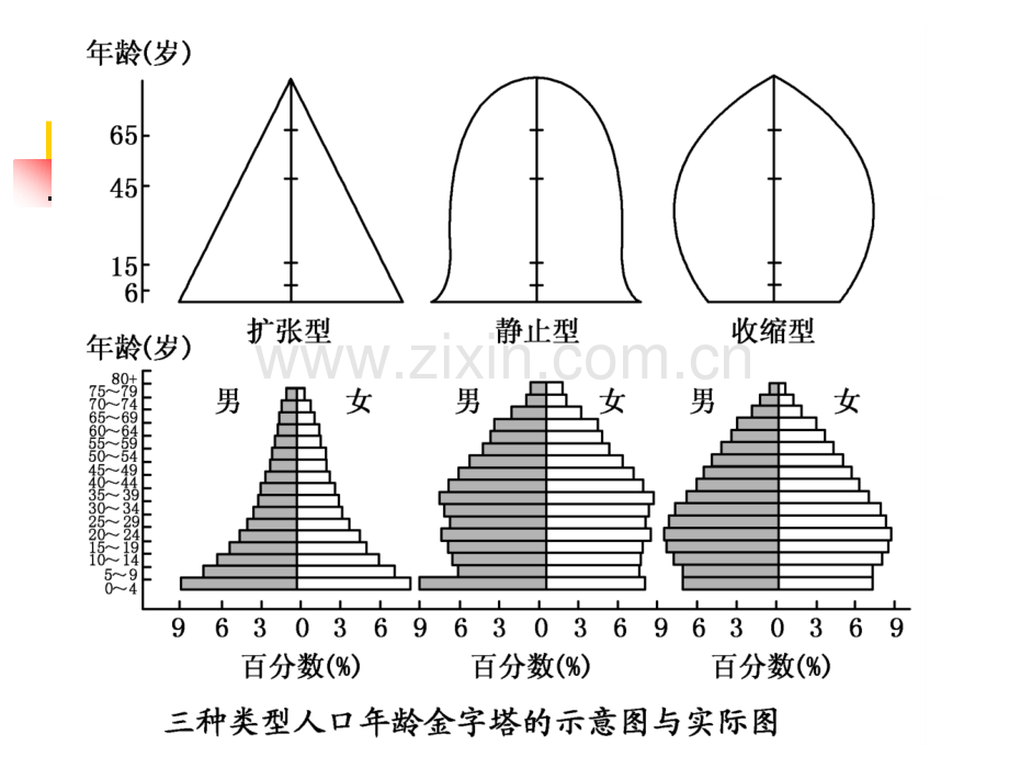 人口年龄结构金字塔2015.pptx_第3页