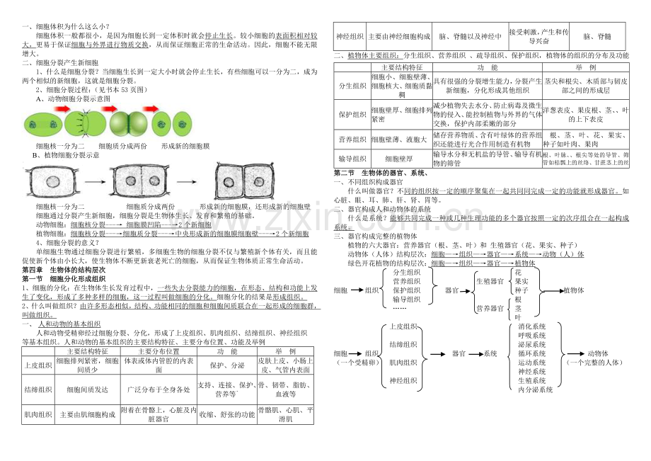 北师大版生物七年级上册复习提纲修改版汇总.doc_第3页