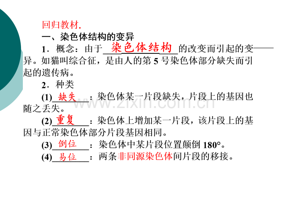 高三第一轮复习染色体变异.pptx_第3页