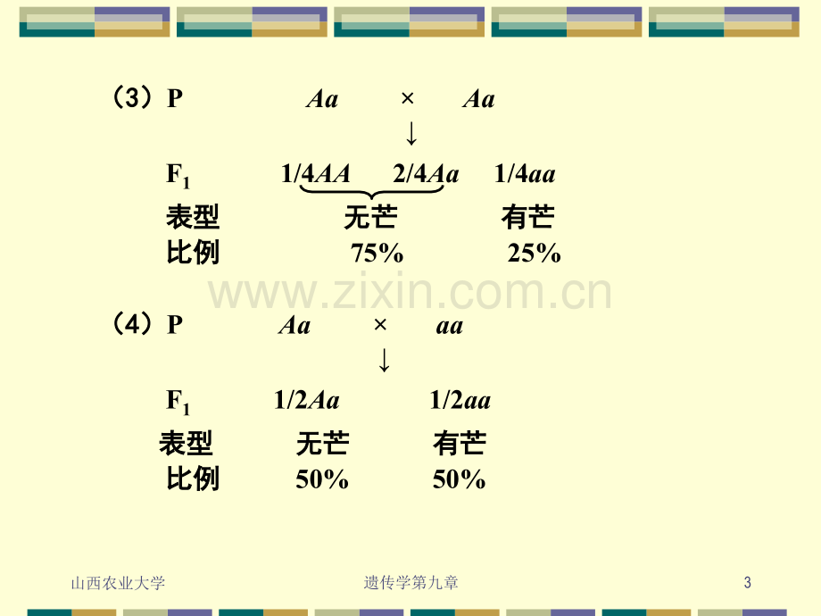 孟德尔遗传习题答案.pptx_第3页