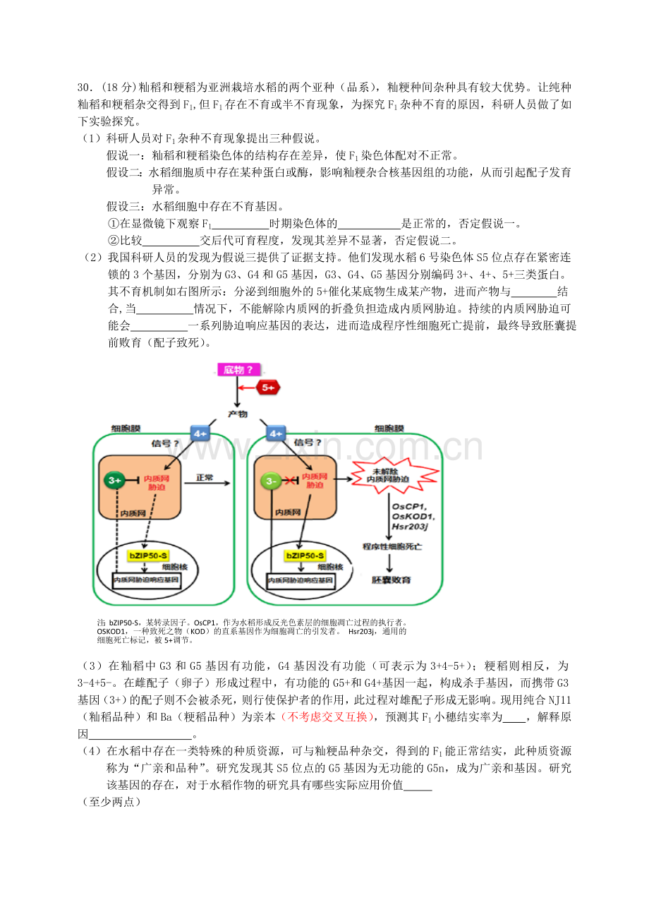 延庆一模生物.doc_第3页