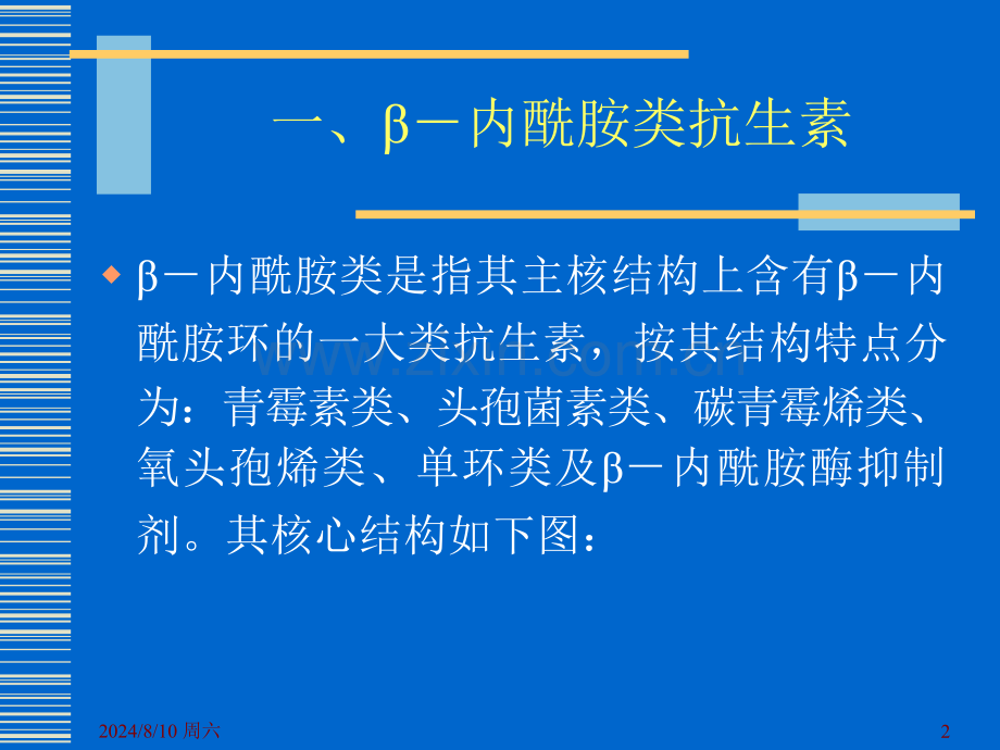 β内酰胺类抗生素与合理用药.pptx_第2页