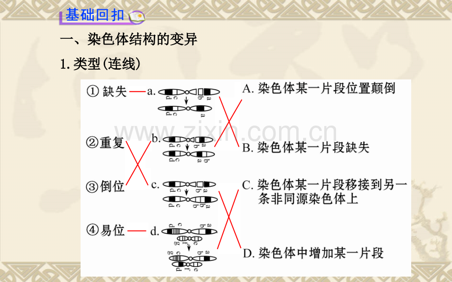 高三生物二轮收尾细致复习必修染色体变异.pptx_第2页