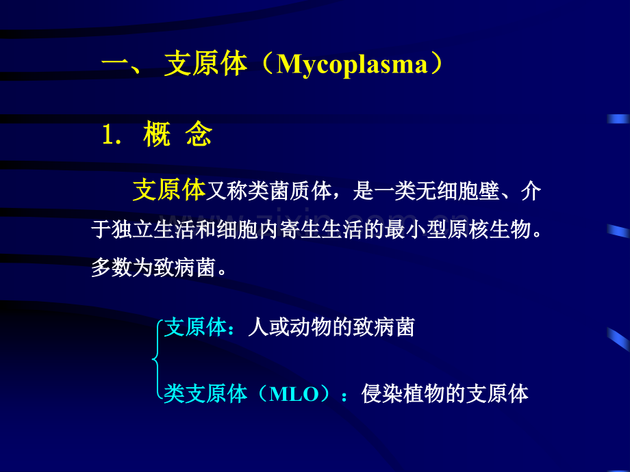 原核微生物支原体立克次氏体和衣原体.pptx_第3页