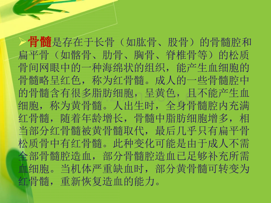 6血液系统常用诊疗技术及护理资料.pptx_第3页