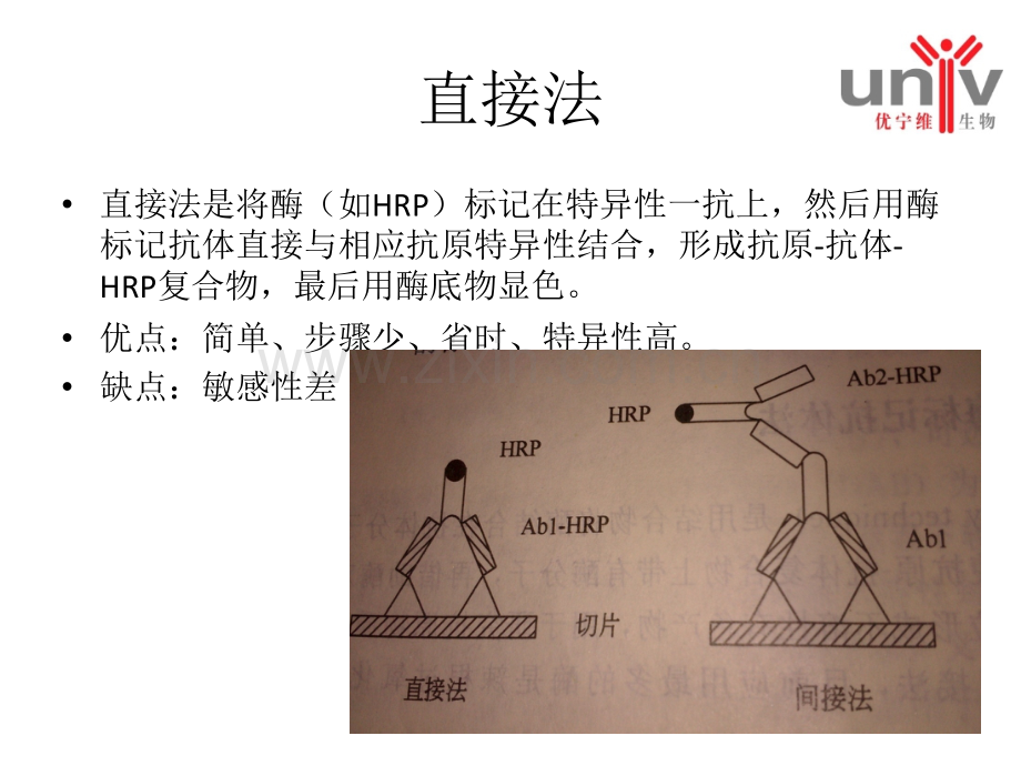 免疫组化知识普及二抗免疫组化试剂盒.pptx_第1页